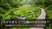 チャツボミゴケ公園の所要時間は？目的別の滞在時間と効率的な回り方を徹底解説！