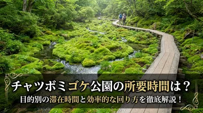 チャツボミゴケ公園の所要時間は？目的別の滞在時間と効率的な回り方を徹底解説！