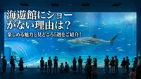海遊館にショーがない理由は？楽しめる魅力と見どころ5選をご紹介！