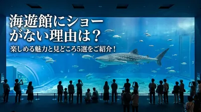 海遊館にショーがない理由は？楽しめる魅力と見どころ5選をご紹介！