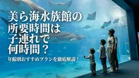 美ら海水族館の所要時間は子連れで何時間？年齢別おすすめプランを徹底解説！