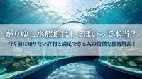 かりゆし水族館はしょぼいって本当？行く前に知りたい評判と満足できる人の特徴を徹底解説！