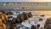 東尋坊は行かない方がいい？危険と言われる5つの理由と安全に楽しむコツをご紹介！