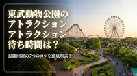 東武動物公園のアトラクション待ち時間は？混雑回避の7つのコツを徹底解説！