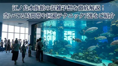 江ノ島水族館の混雑予想を徹底解説！空いてる時間帯や回避テクニック7選をご紹介