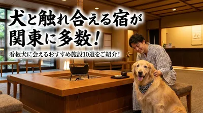 犬と触れ合える宿が関東に多数！看板犬に会えるおすすめ施設10選をご紹介！