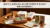 奈良でしか買えないお土産で日持ちするのは？厳選10品を徹底紹介！